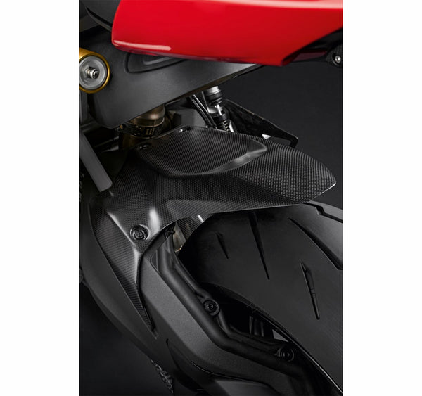 Carbon Rear Mudguard - Ducati of Santa Barbara