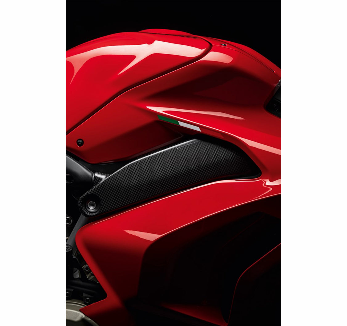 Carbon Frame Cover - Panigale