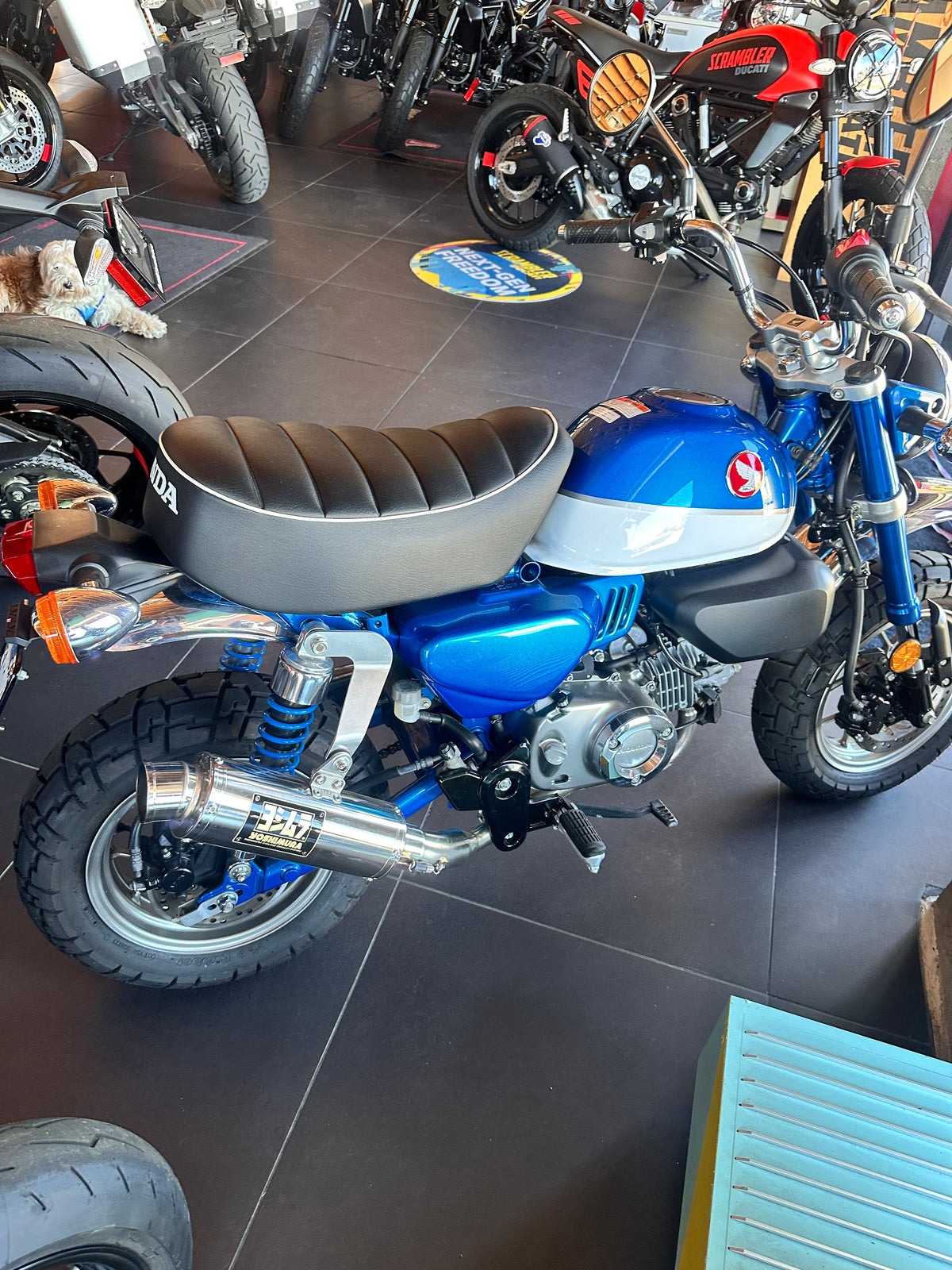 2021 Honda Monkey Bike  - Pre Owned